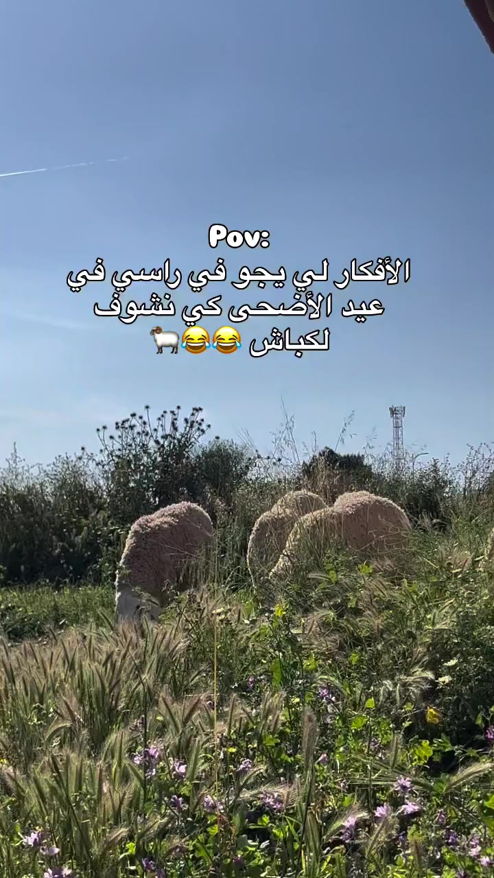 @โค๐๐ฎ_๐๐