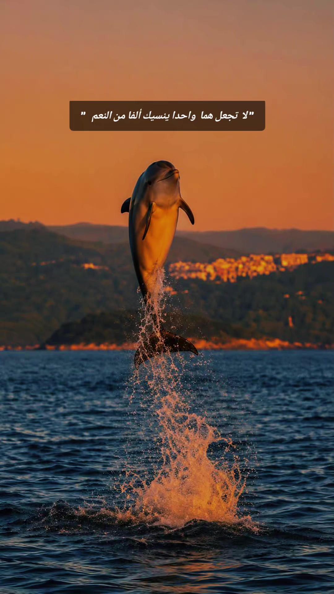 @đđđđŚđ˘đ§đ đđĽđđŻđ˘đ¨đ
