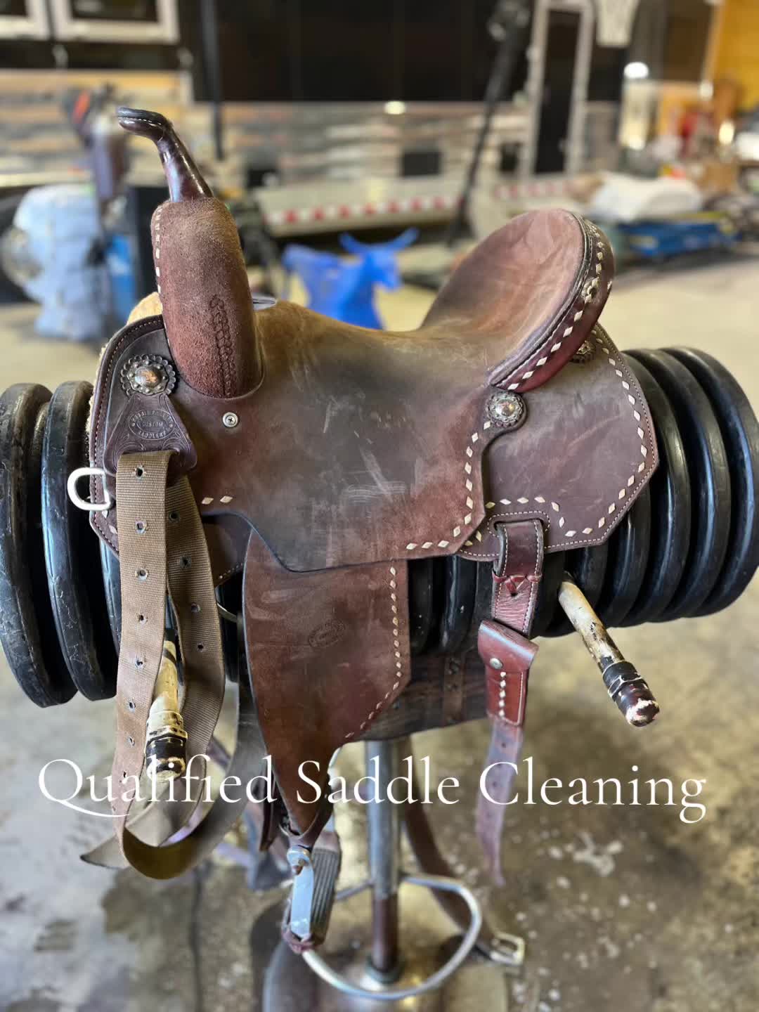 @Qualified Saddle Cleaning