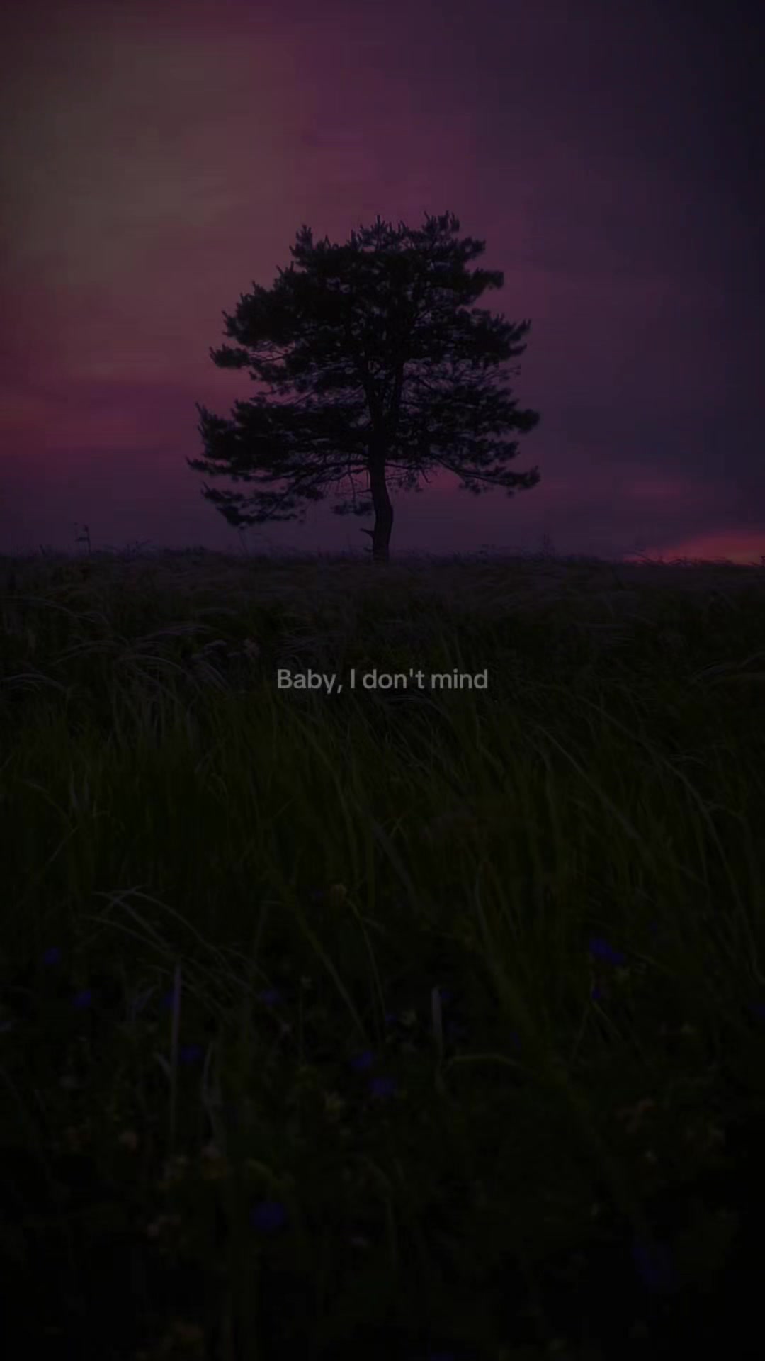 @𝟑𝟎𝟑 𝐋𝐘𝐑𝐈𝐂𝐒