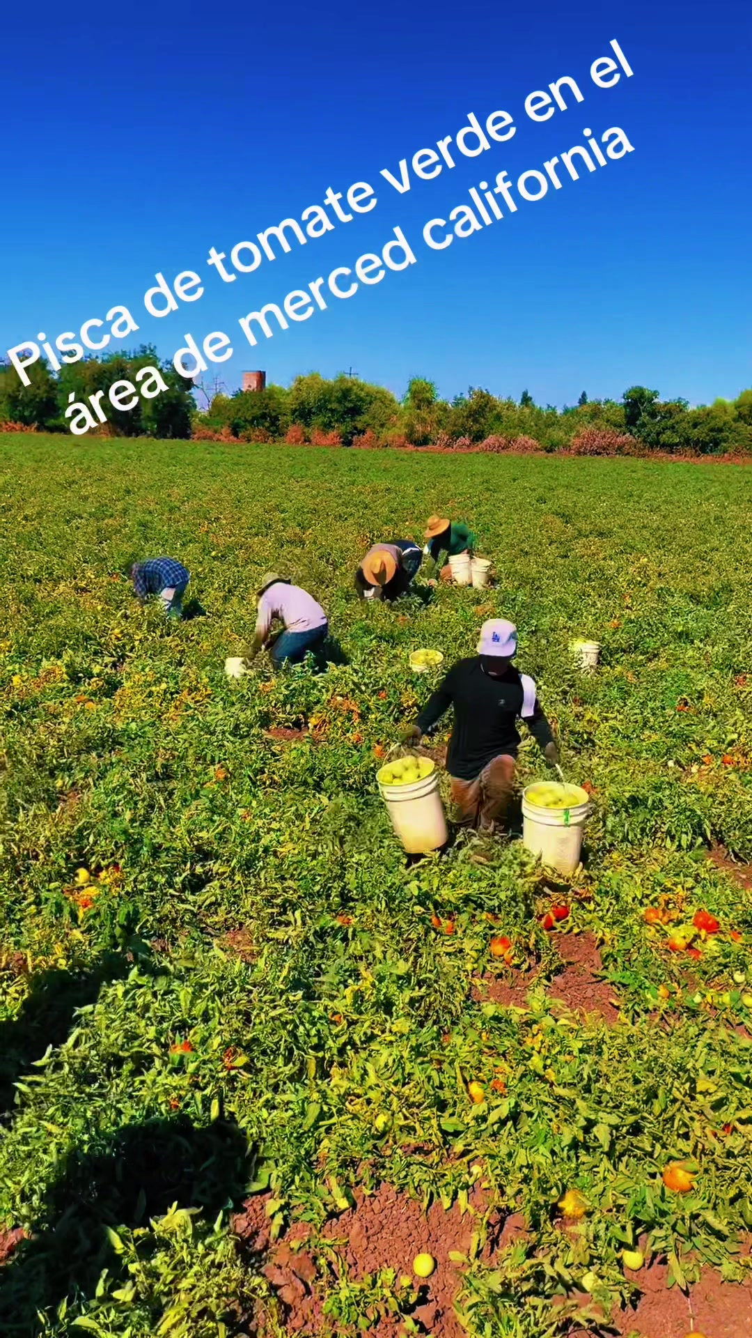 @blanco10