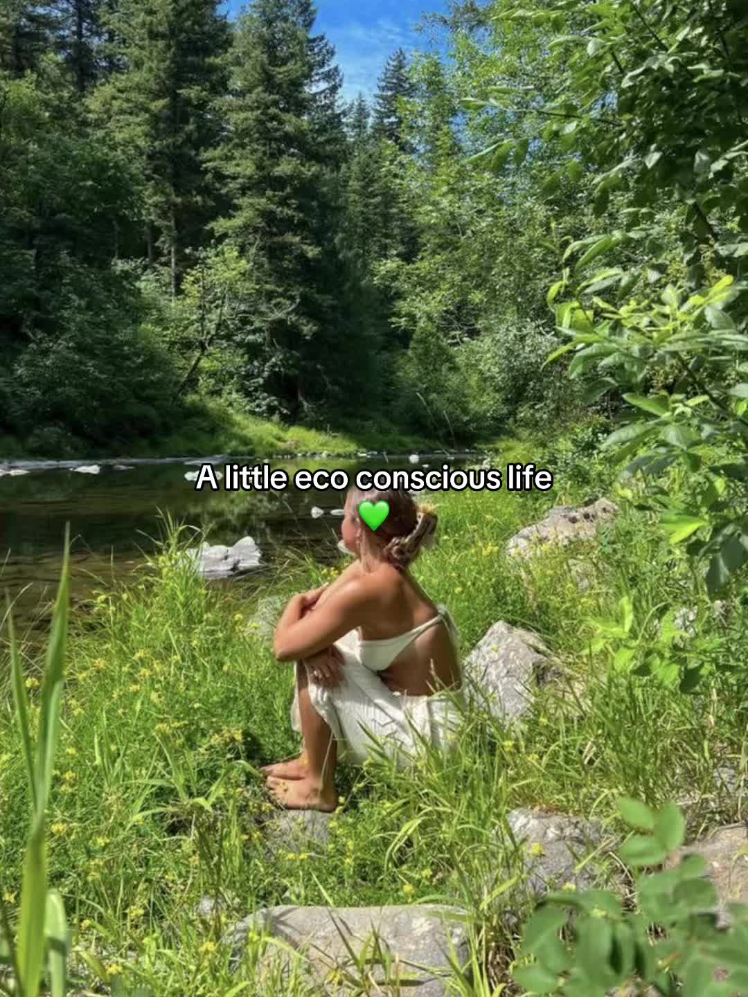 @amaliaplantstrees