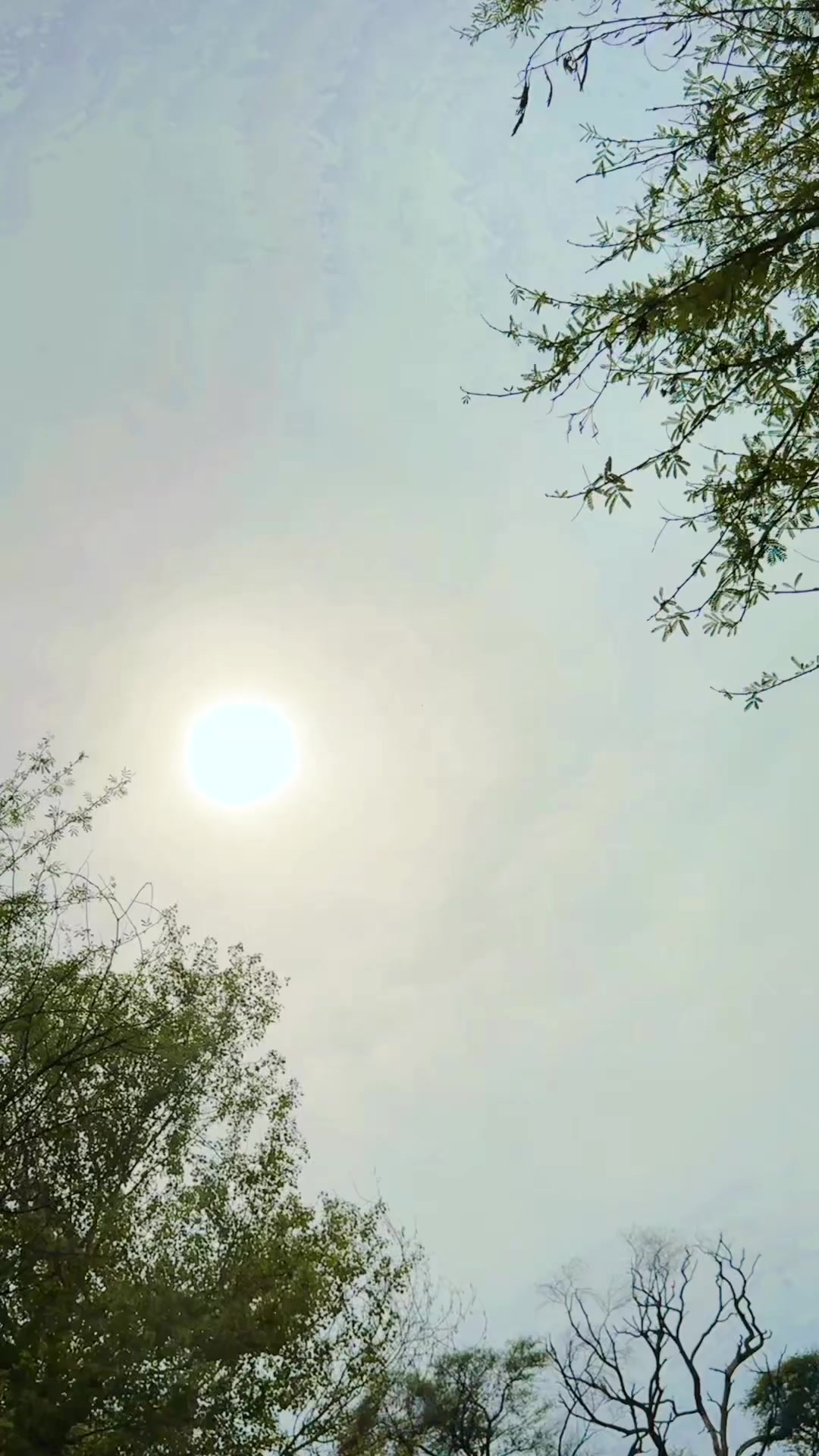 @𝑯𝑨𝑴𝑬𝑬𝑫.𝑼𝑹𝑭.𝑪𝑶𝑩𝑹𝑨