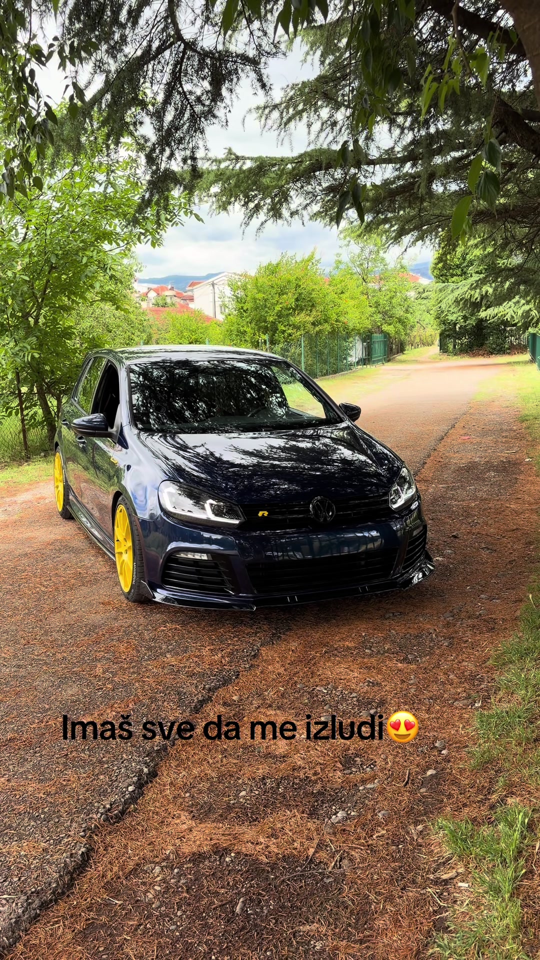 @plavasestica
