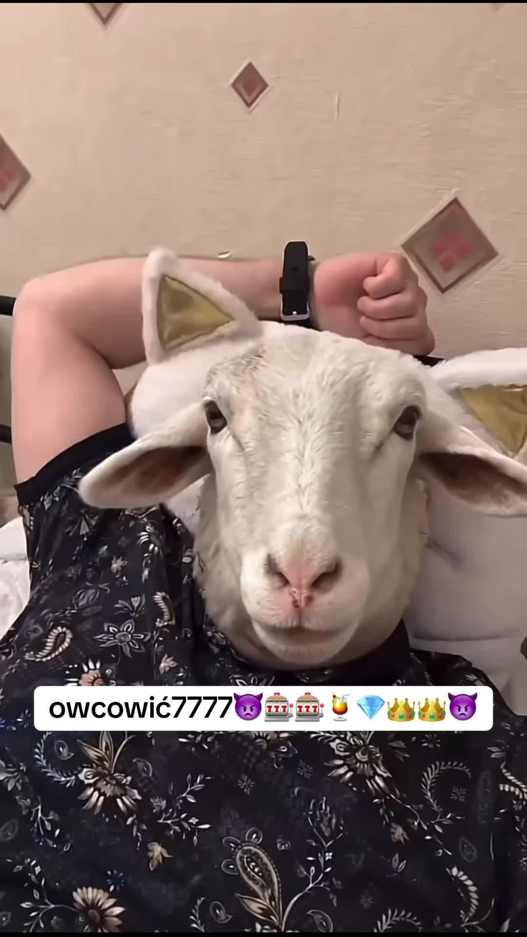 @JarosławPińczuk👿🎰🍹💎👑👑👿