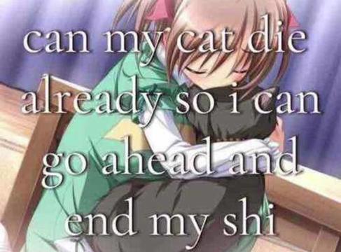 @niki