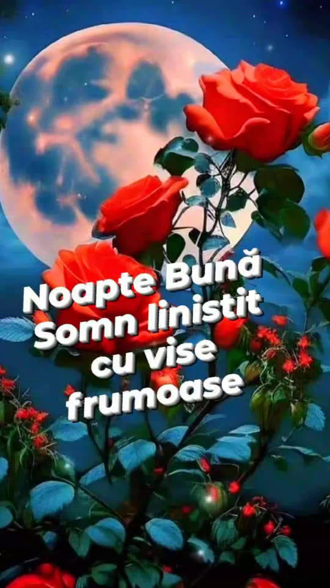 @Ruxandra Borcea