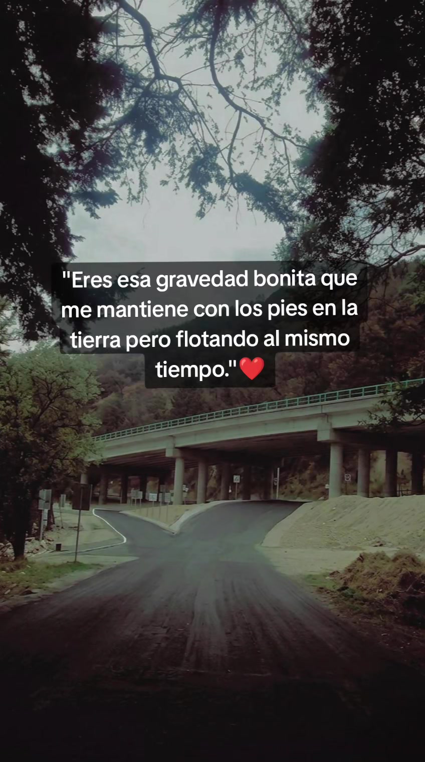 @Guadalupe Hernandez Ü