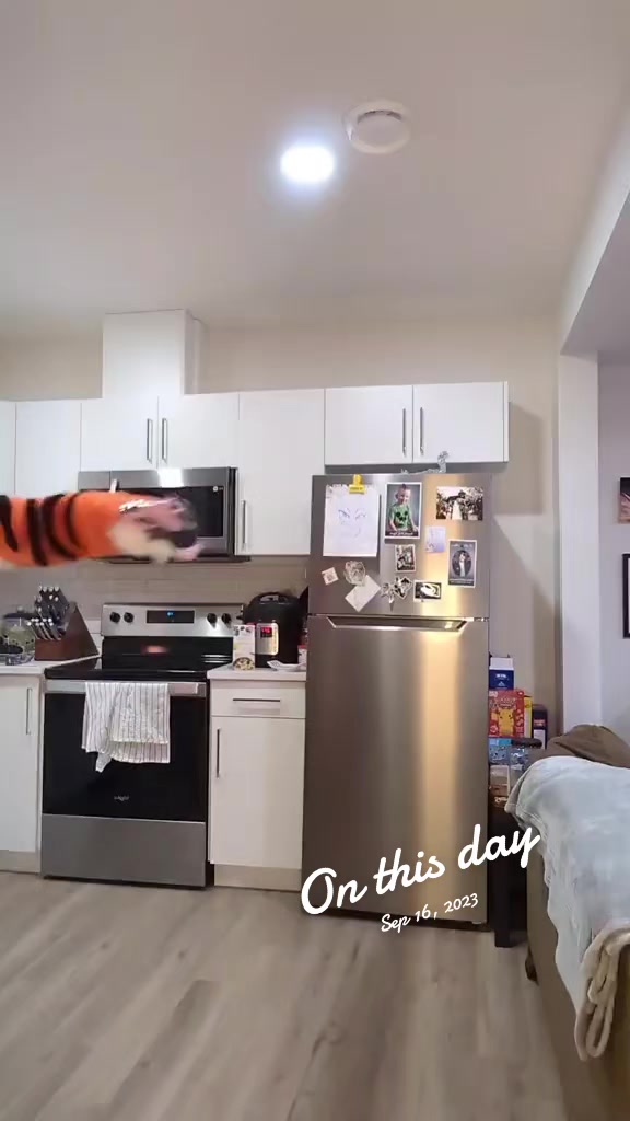 @Tizger