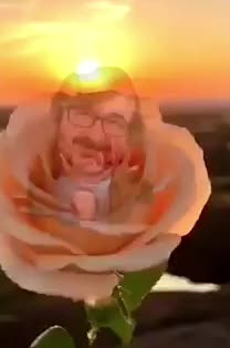@doctorQ