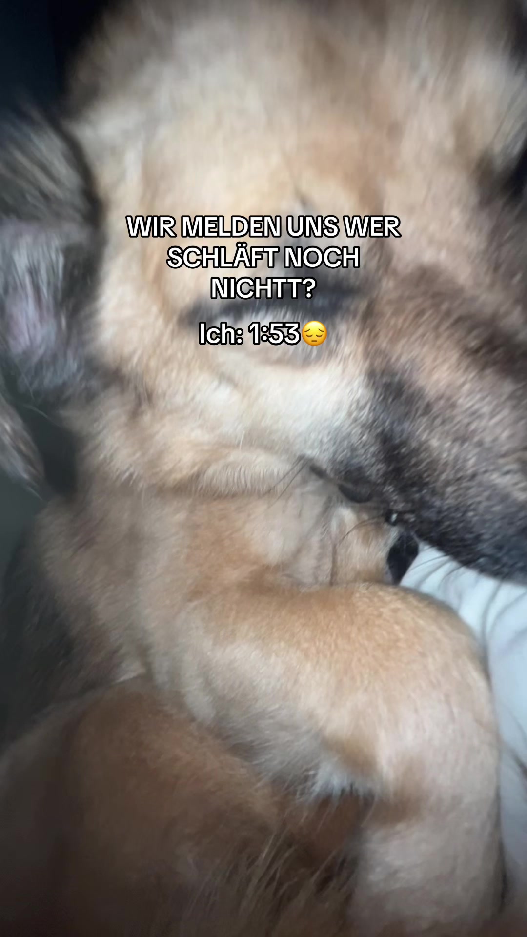 @✮ℒ𝒶𝓊𝓇𝒶✮