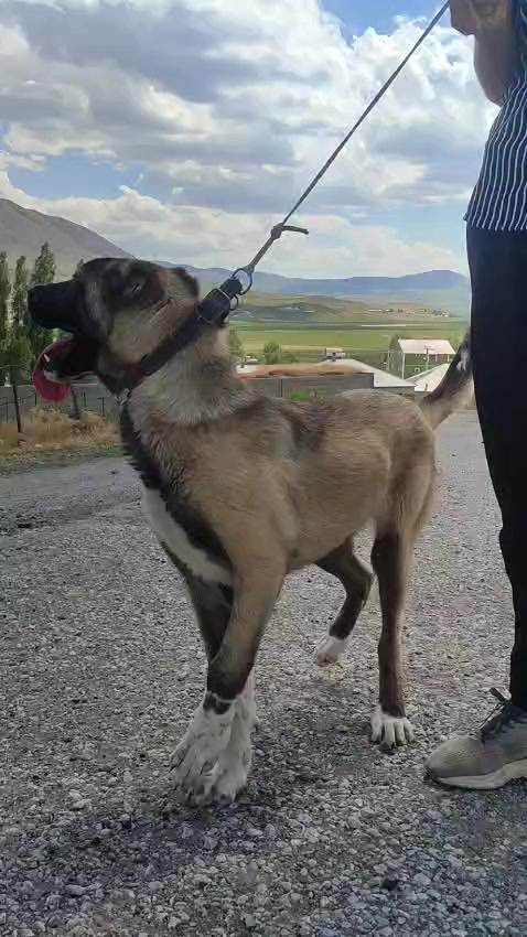 @Yusuf saldık