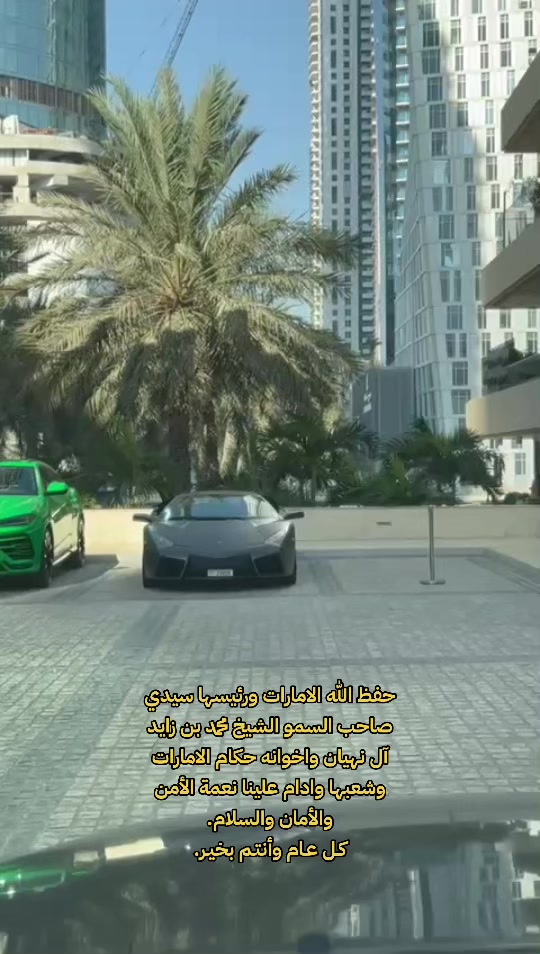 @mohamad alaliwe