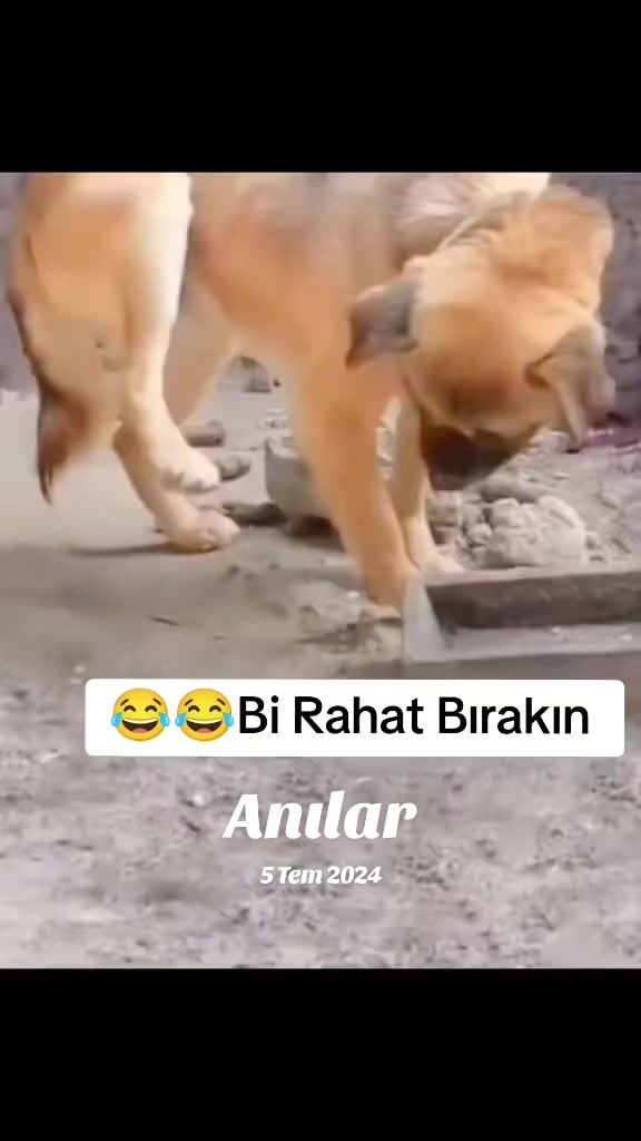 @K&ouml;m&uuml;r G&ouml;zl&uuml;m