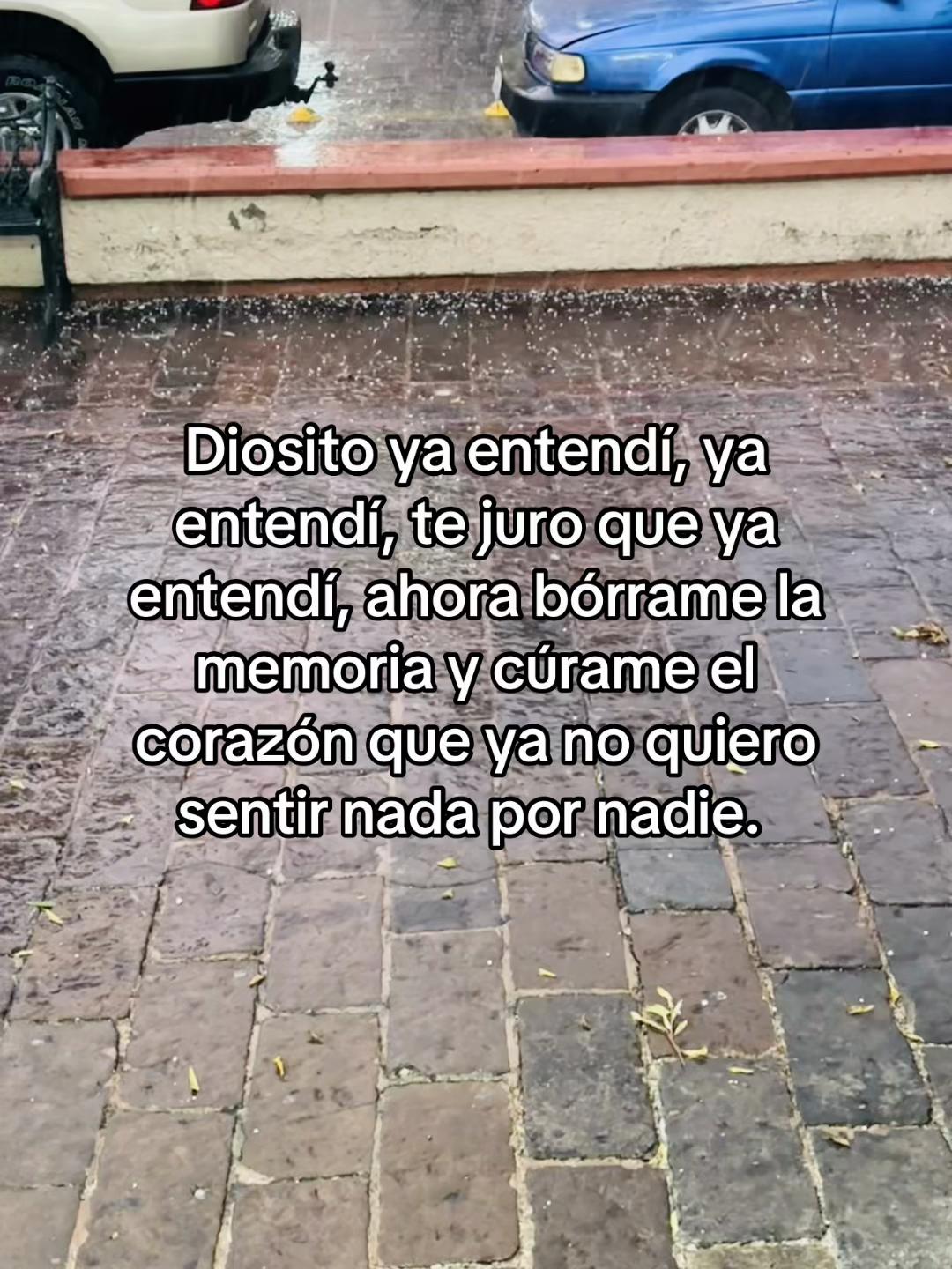 @DejaML