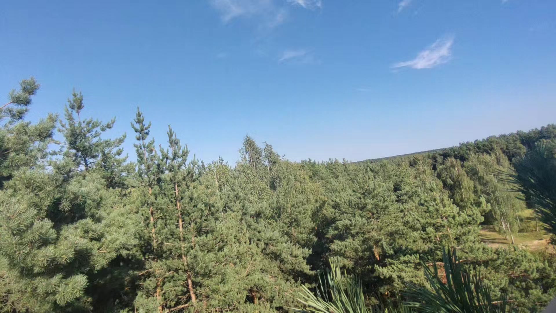 @я тупа свег щя