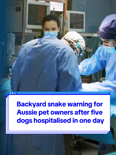 @Yahoo Australia