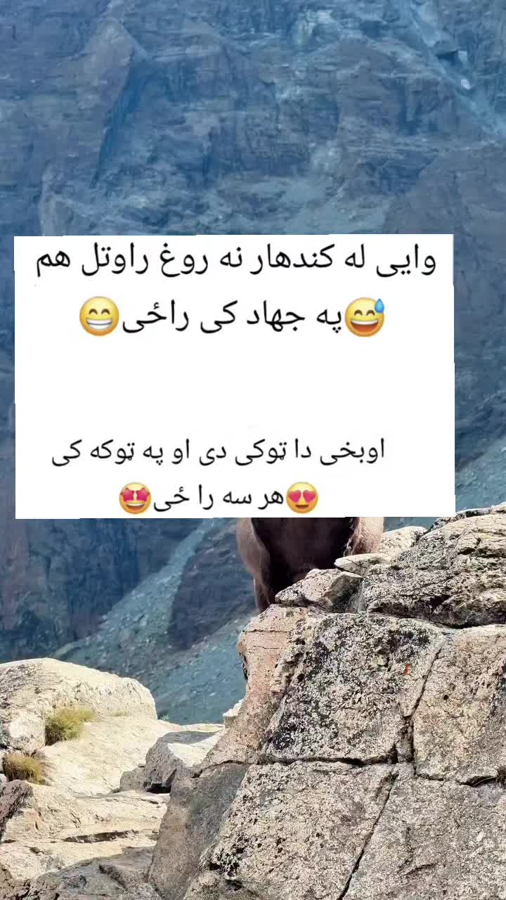 @funnysmile2026