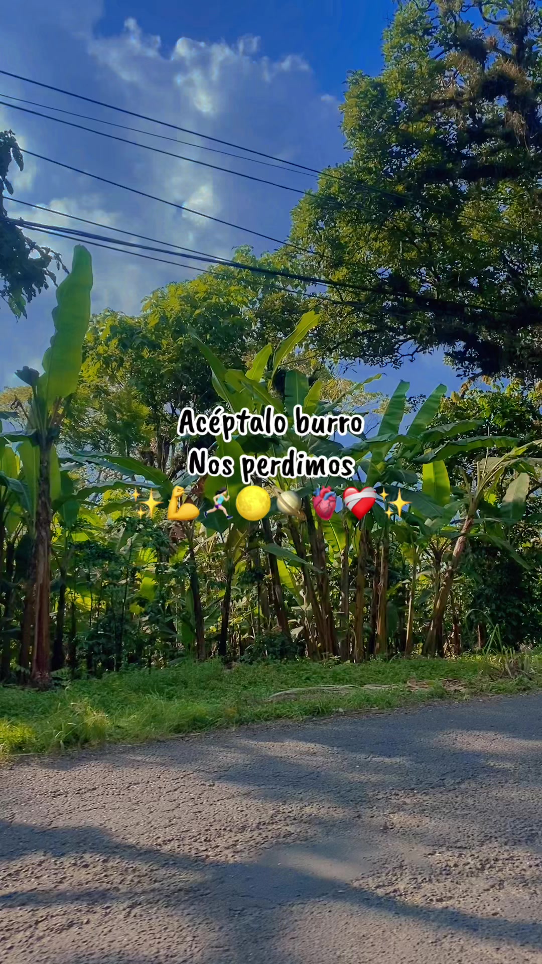 @lunita