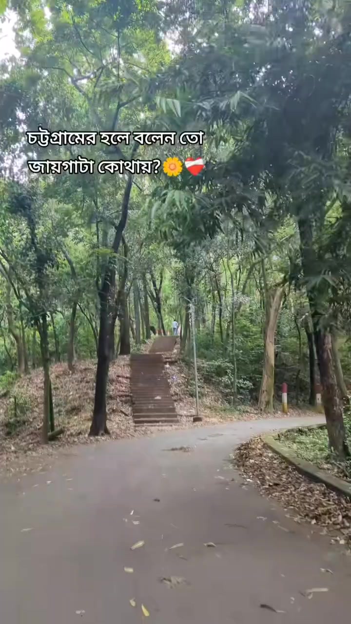 @,,,,,,🌸আদিবা ইসলাম🌸 ,,,,,