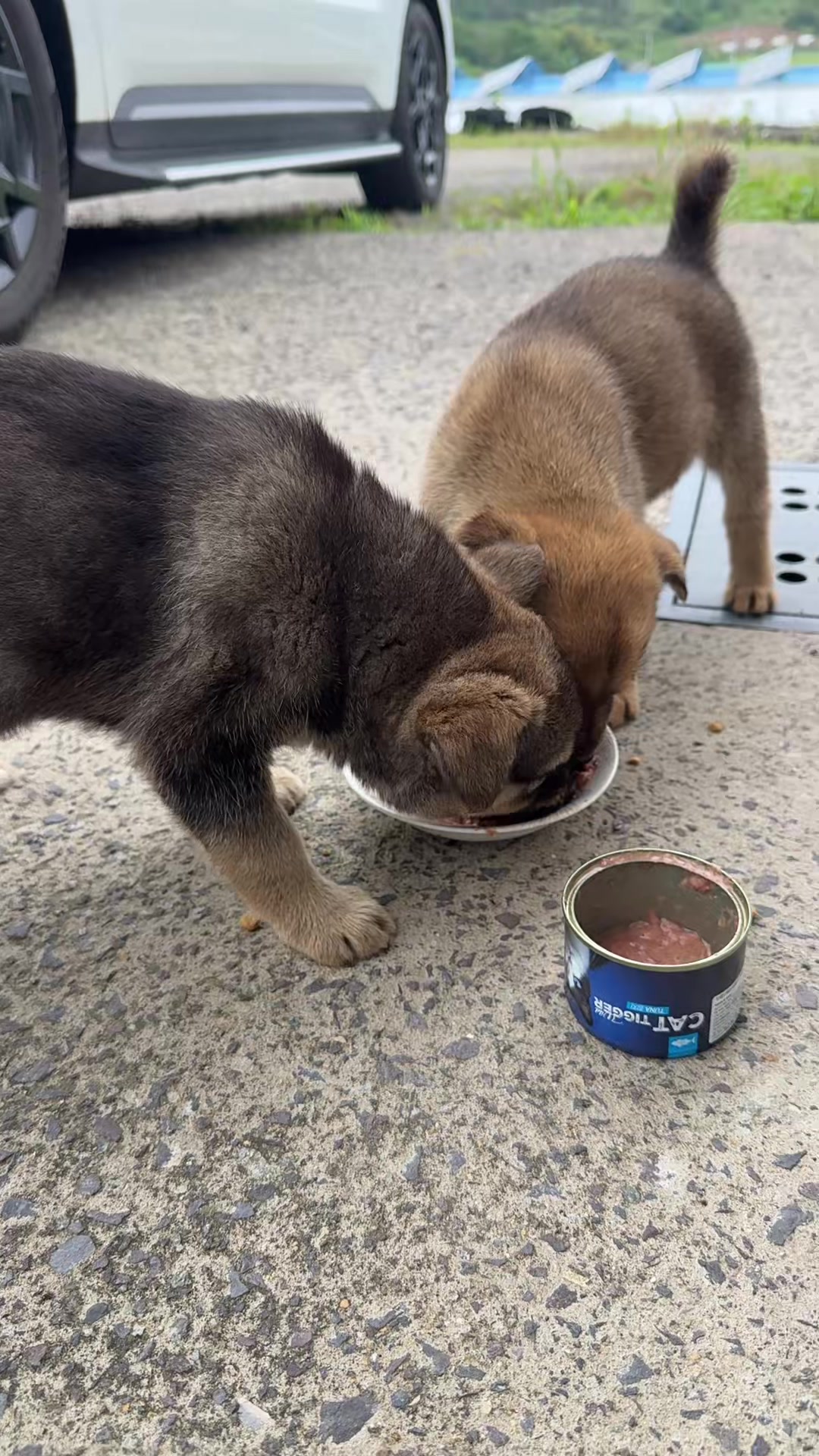 @창해엘앤씨