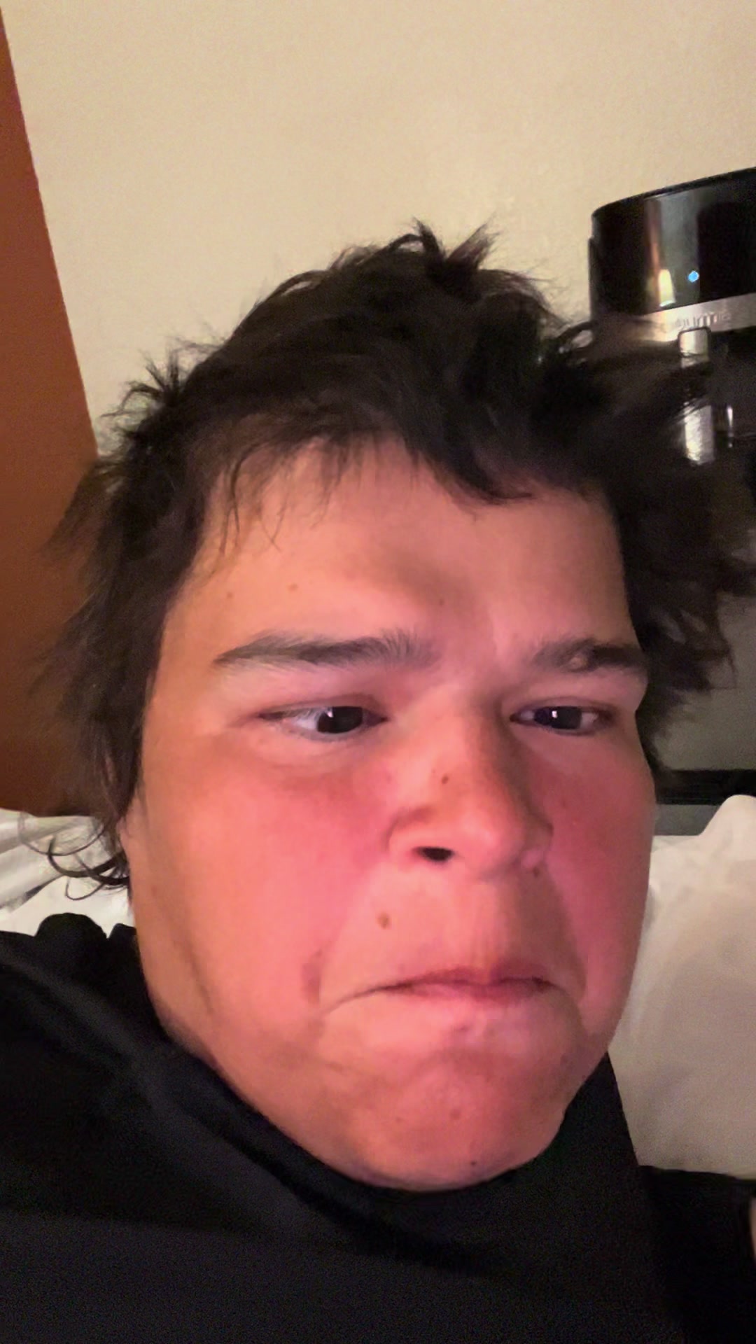 @TacoBellChipmunk