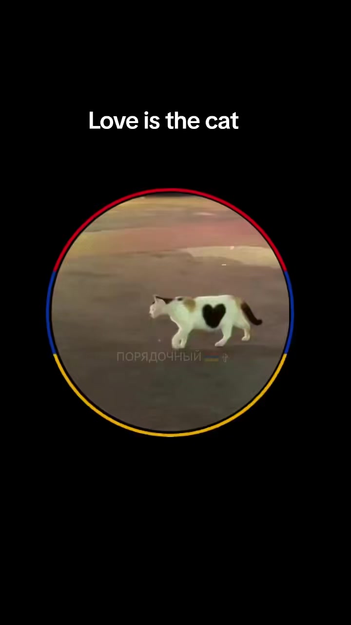 @ПОРЯДОЧНЫЙ 🇦🇲 ✞
