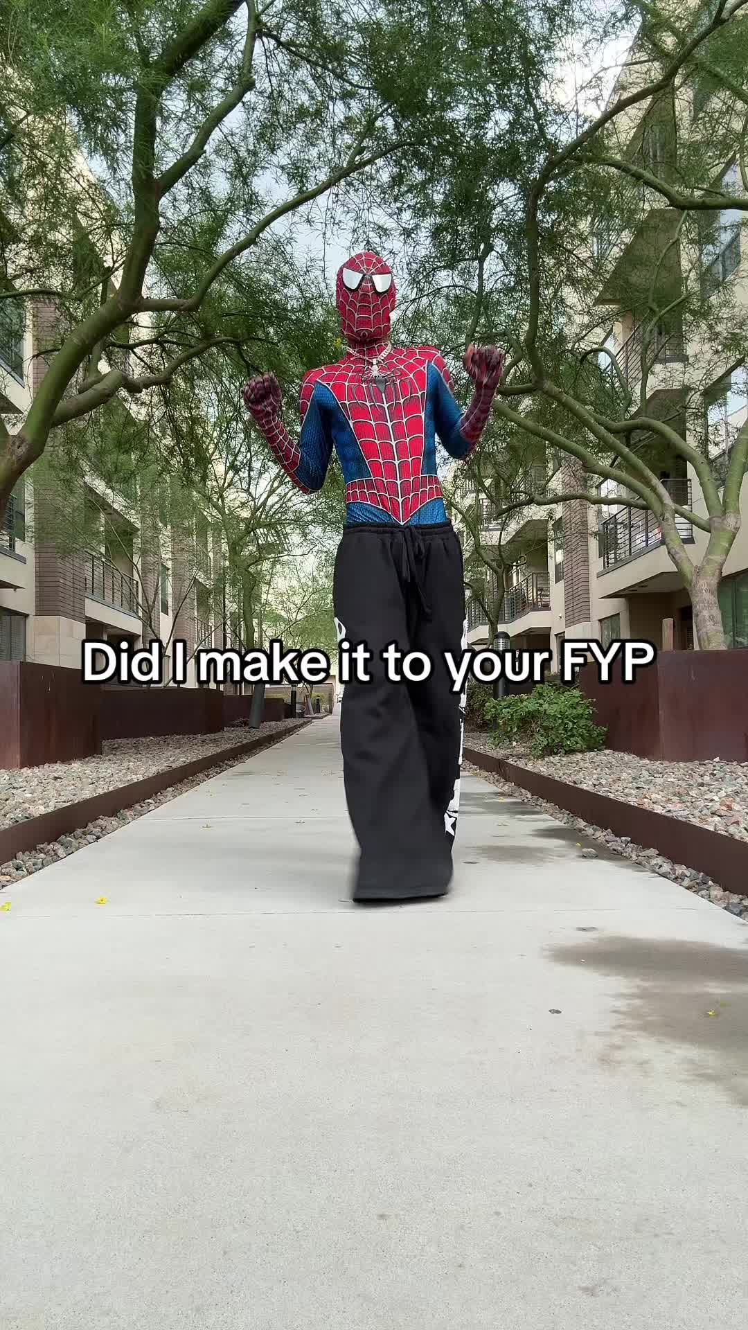 @SPIDA 🕸️