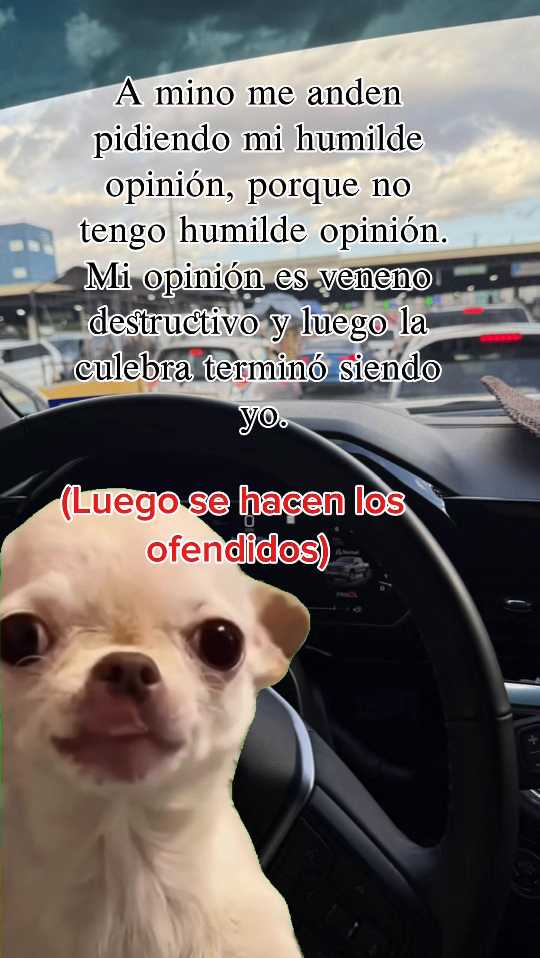 @Lluvia