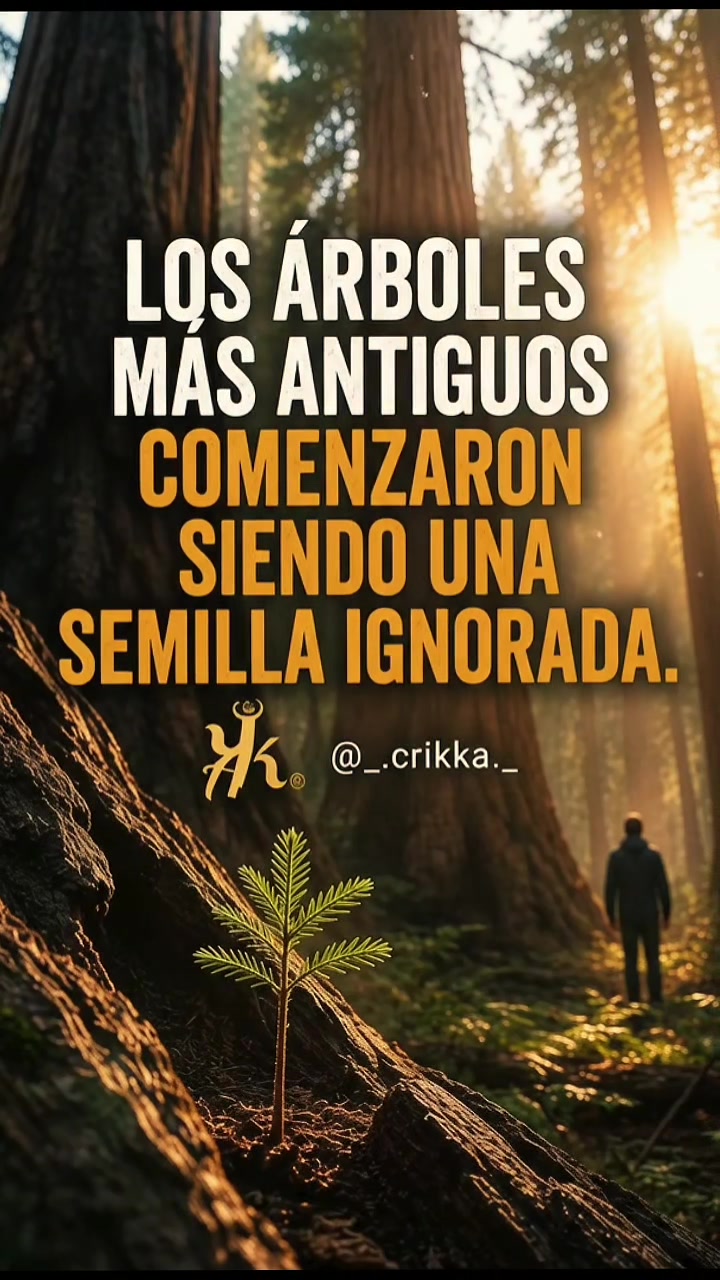 @CRIKKA