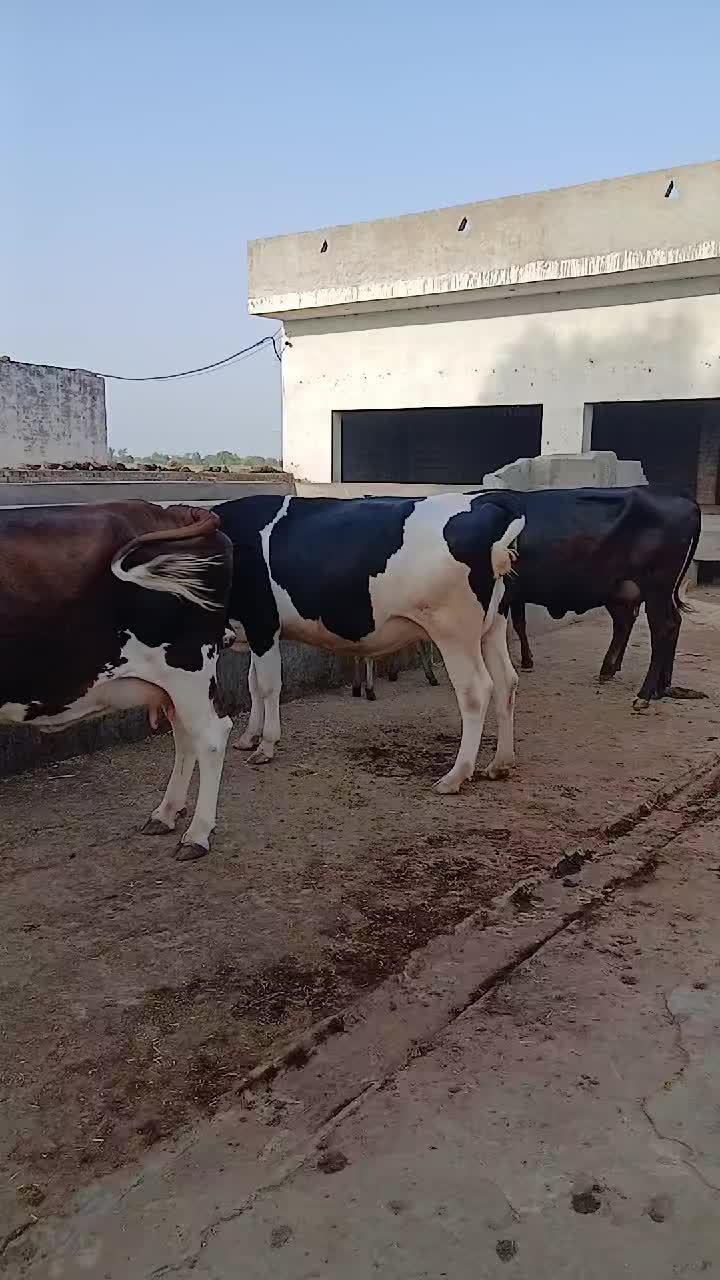 @Farming and Business Ideas