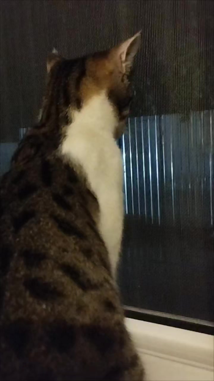 @🐾