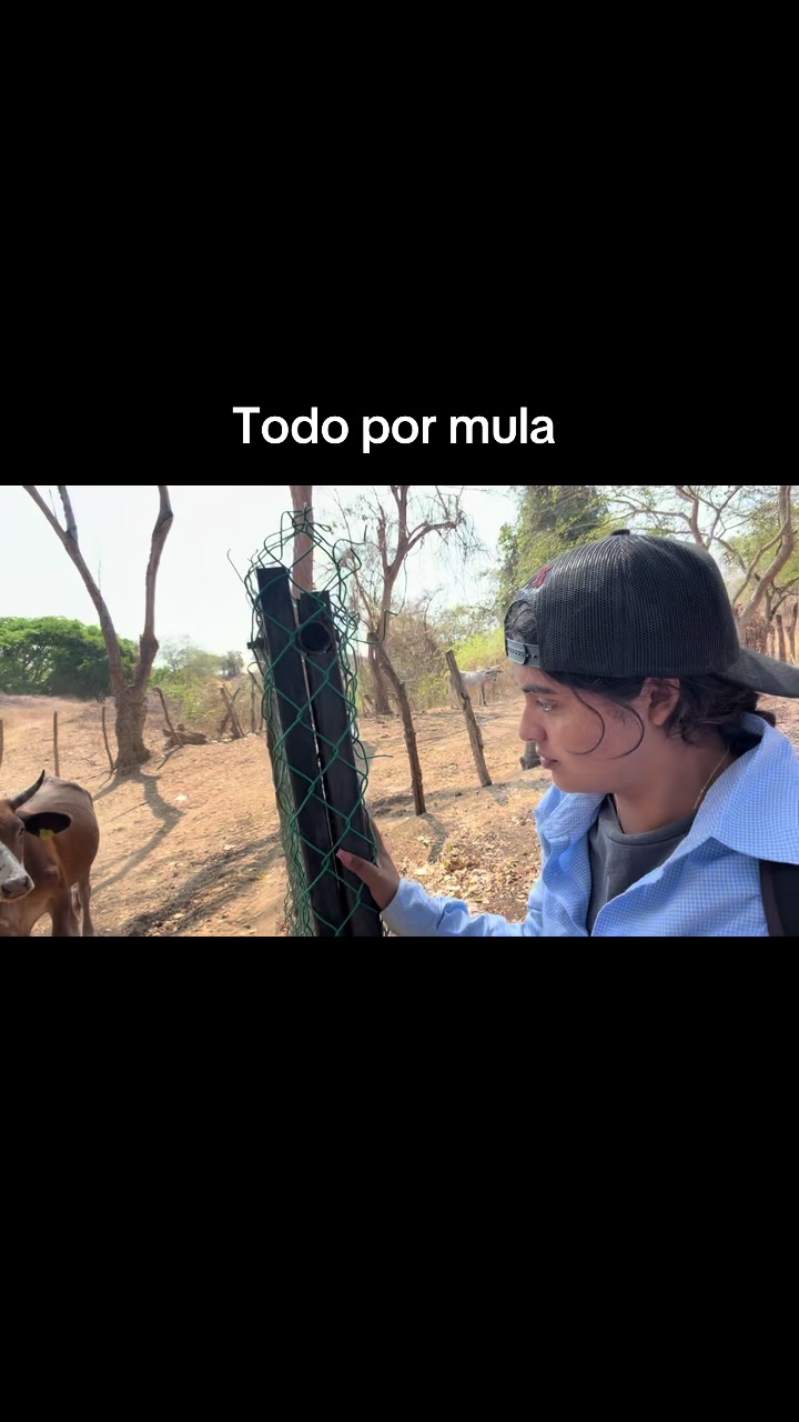@liz_alvarez42