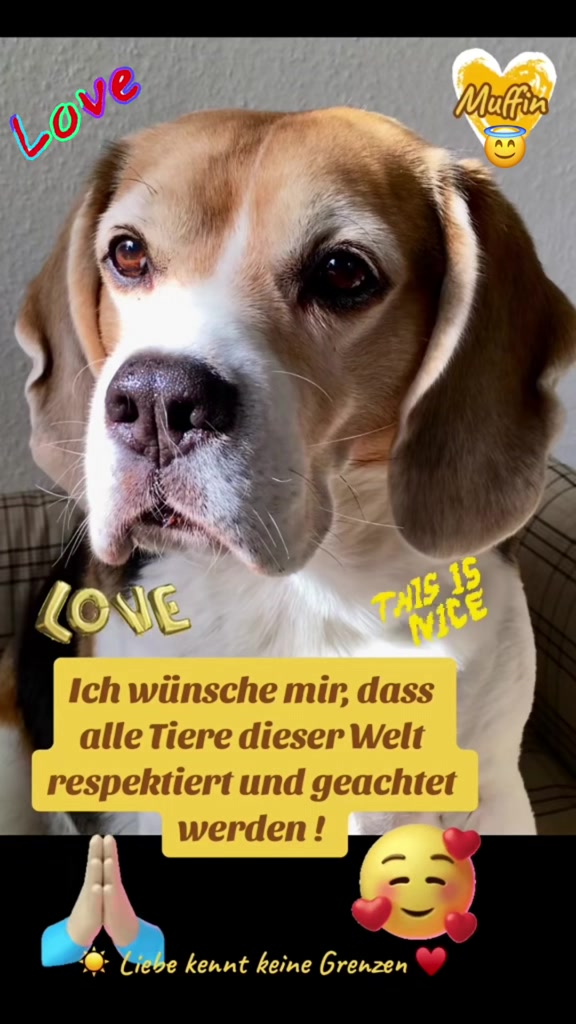@Ulla. Pfoten-Liebe. ❤️