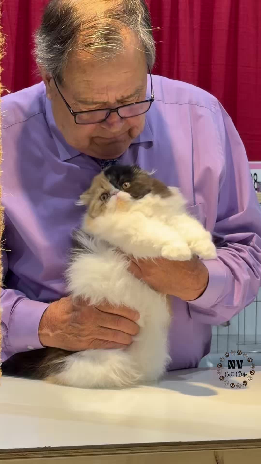 @NewVisionCatClub