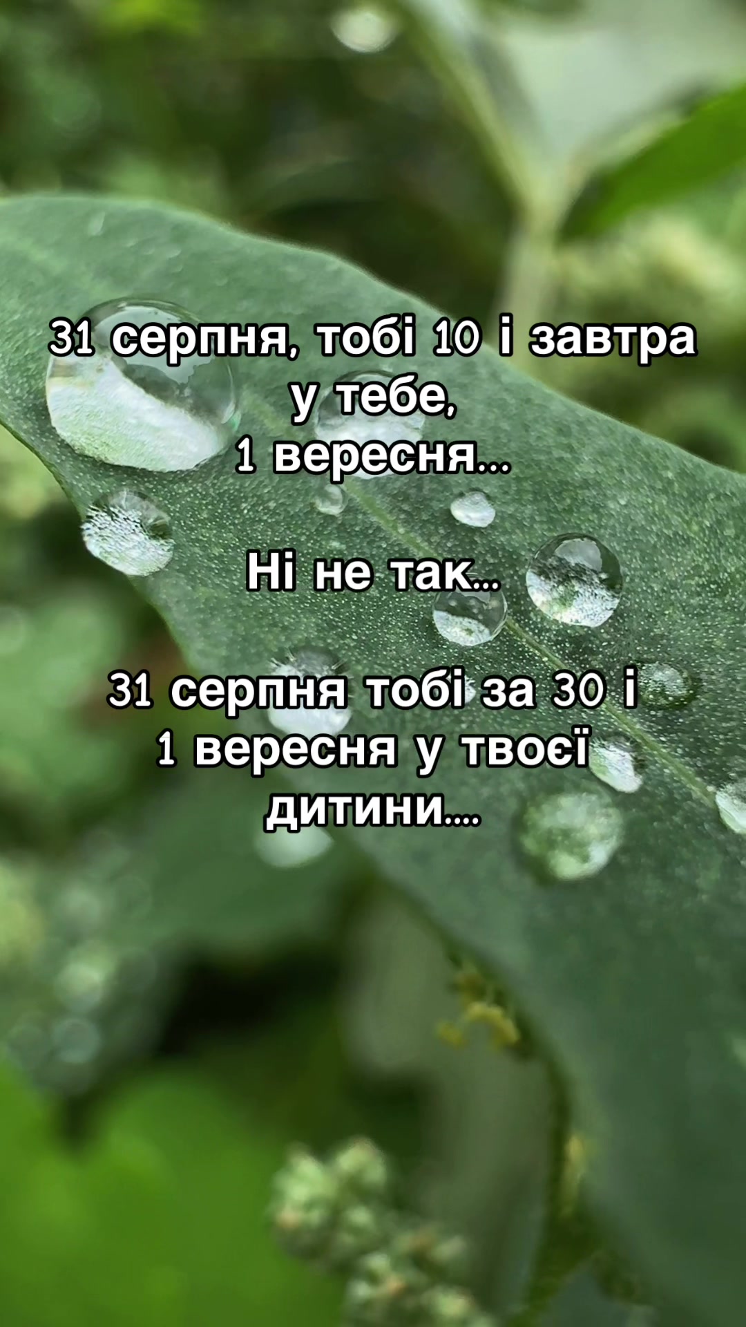 @Maria_Sergeevna