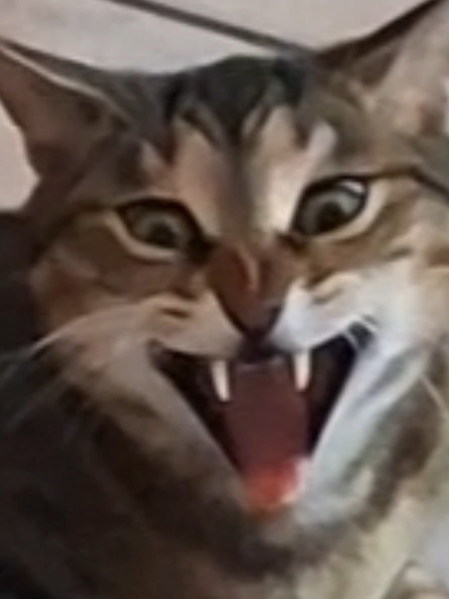 @Martinick
