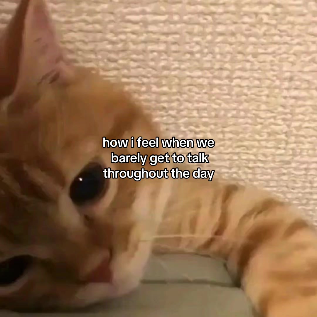 @Alice.cattok