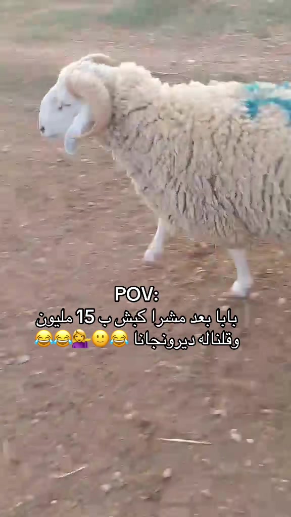 @nourhane 🧡