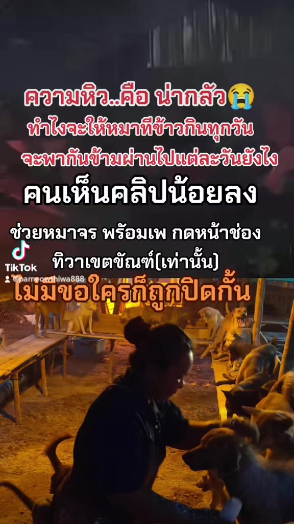 @๐๘๖๑๔o๘๓๙๖ทิวาเขตขัณฑ์