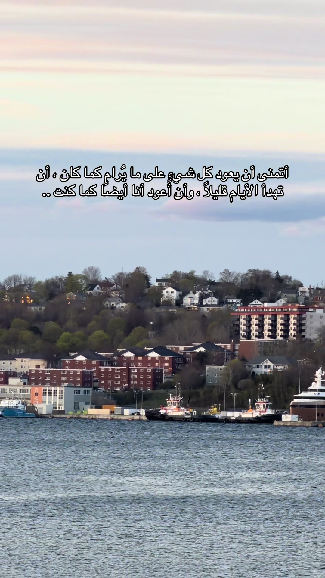 @Tariq Matar