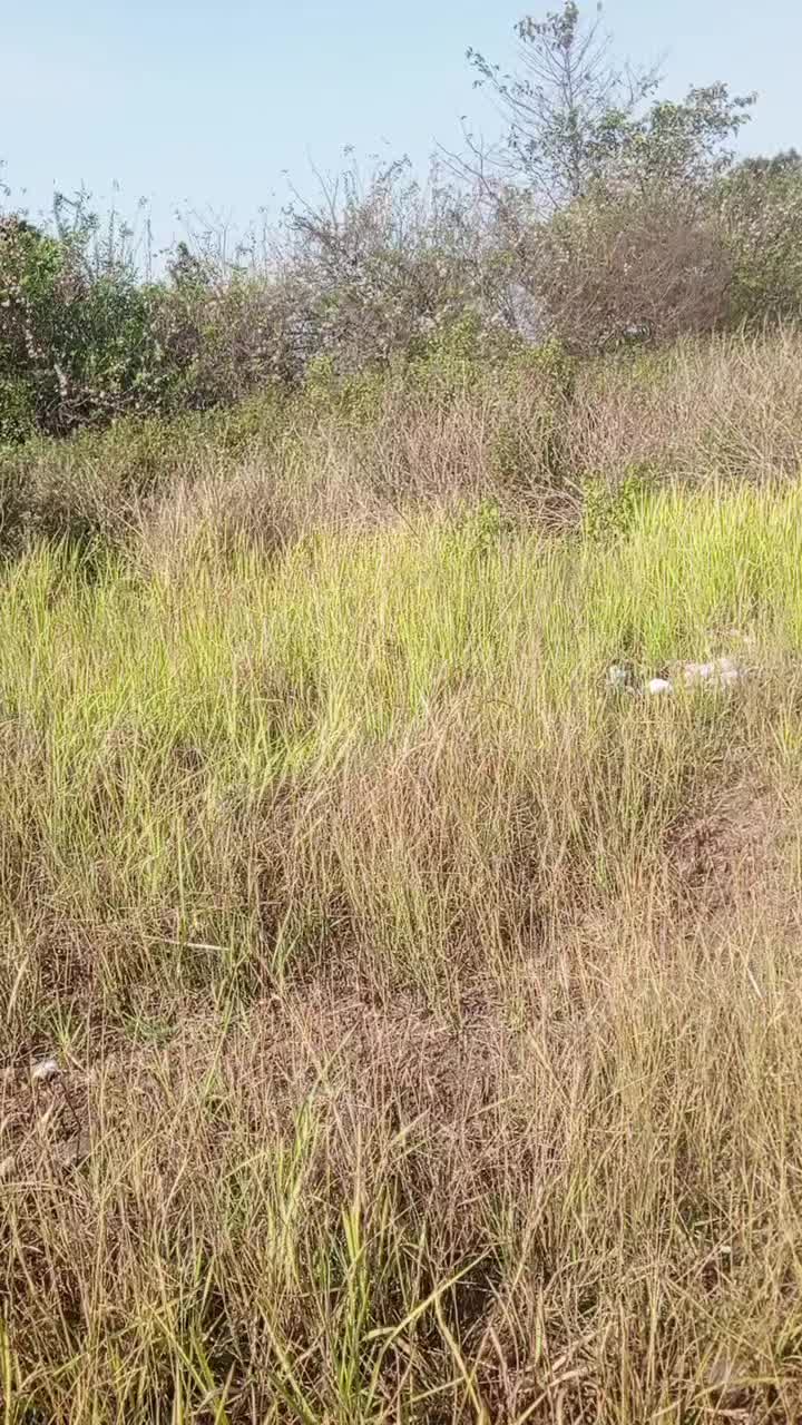 @Abd. syukur