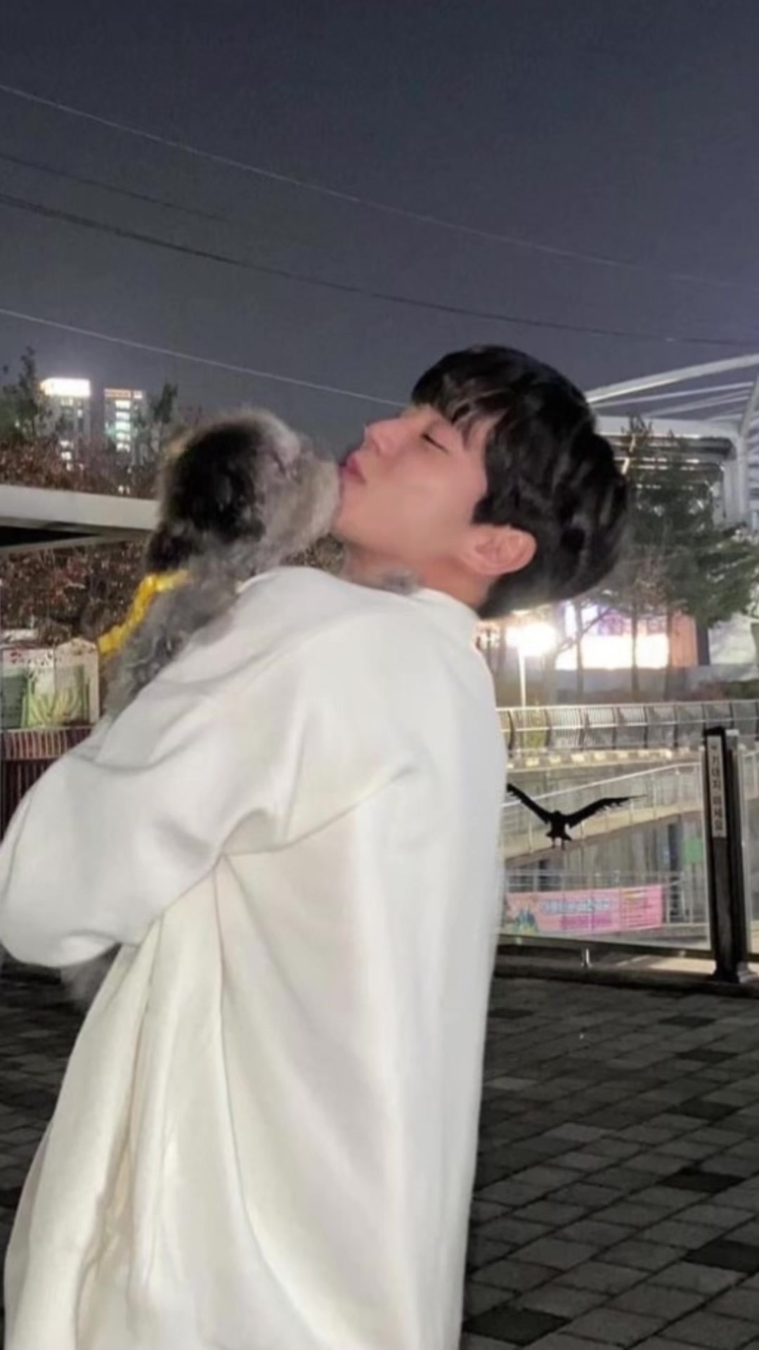 @뉴비보고싶었어