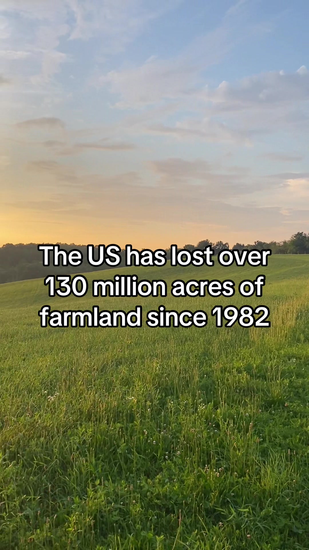 @Strong Family Farms