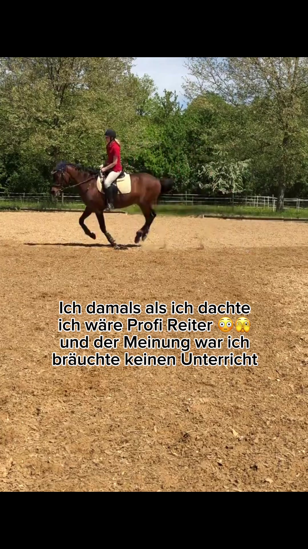 @Letynnxhorses
