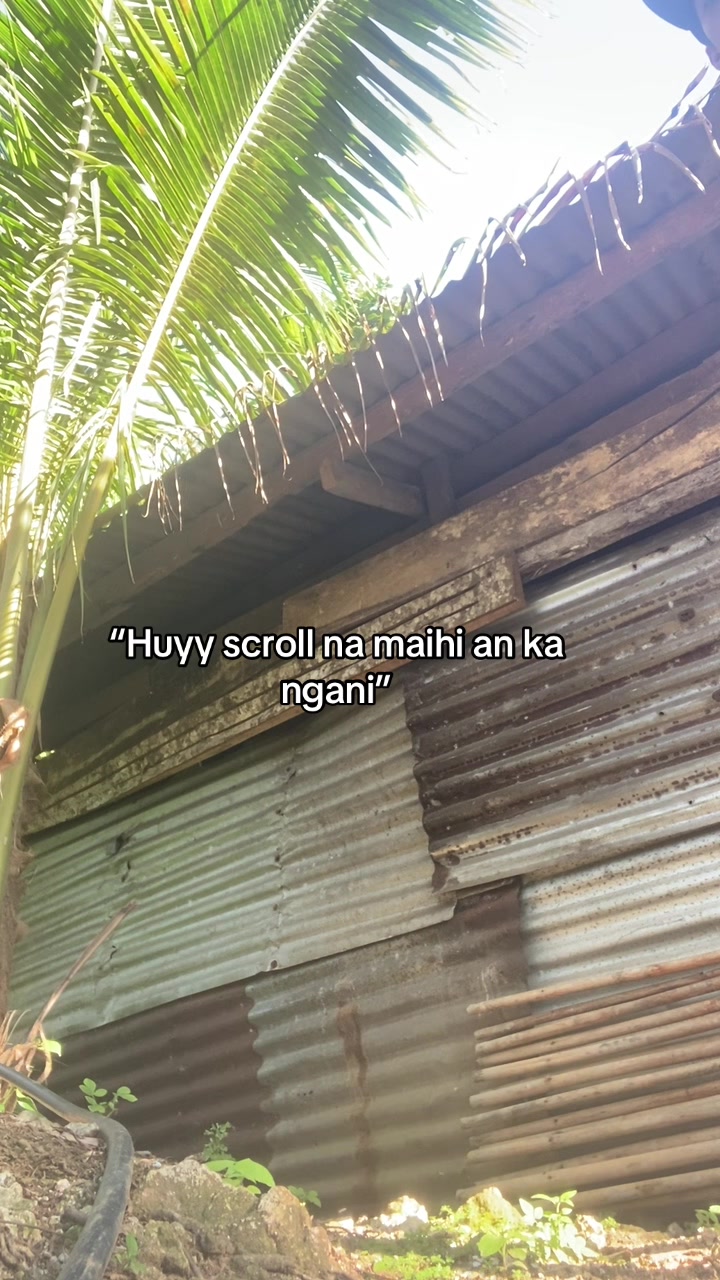 @Mateo