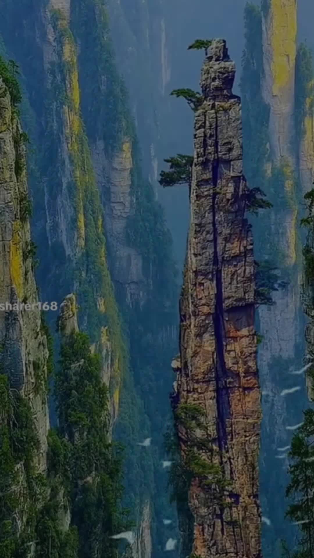 @Ant