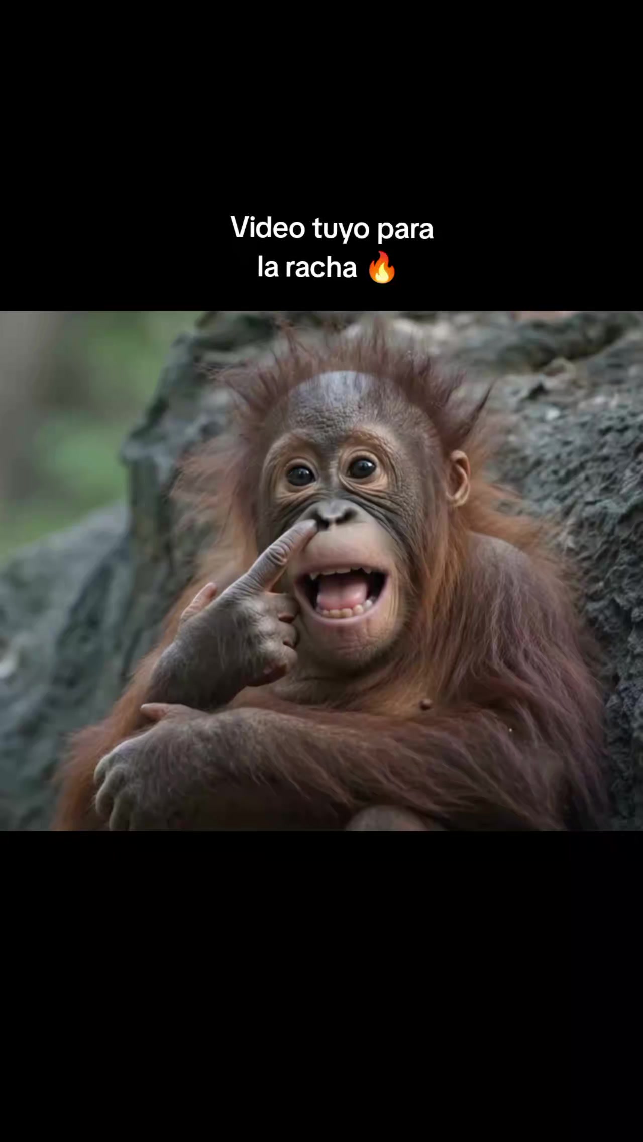 @RabPesito 🔥