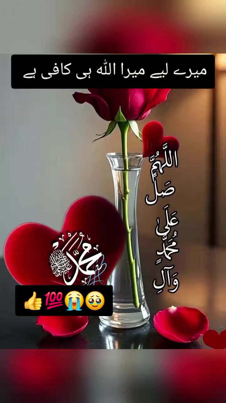 @Mrs Ramzan...🤍