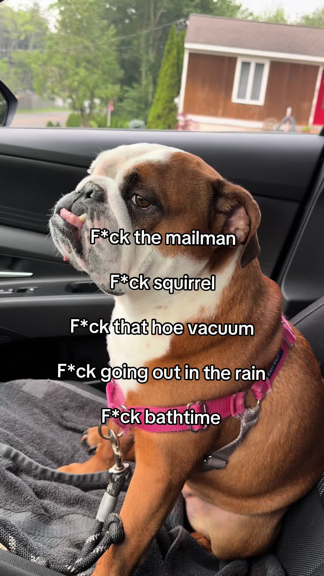 @Poptart & Patches